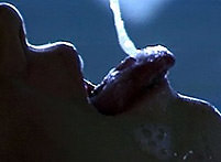 Nineteen Video Magazine #29