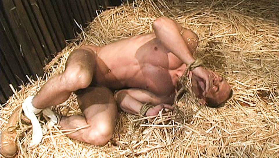 Induction, Scene #02