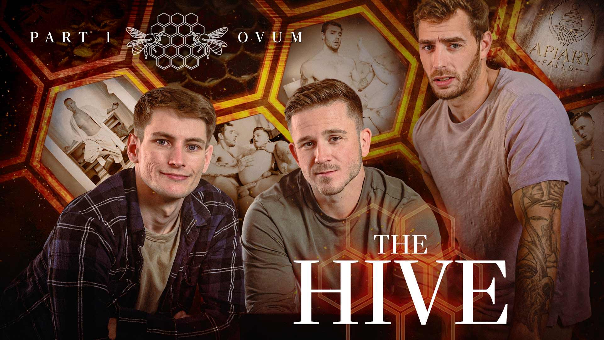 The Hive: Ovum