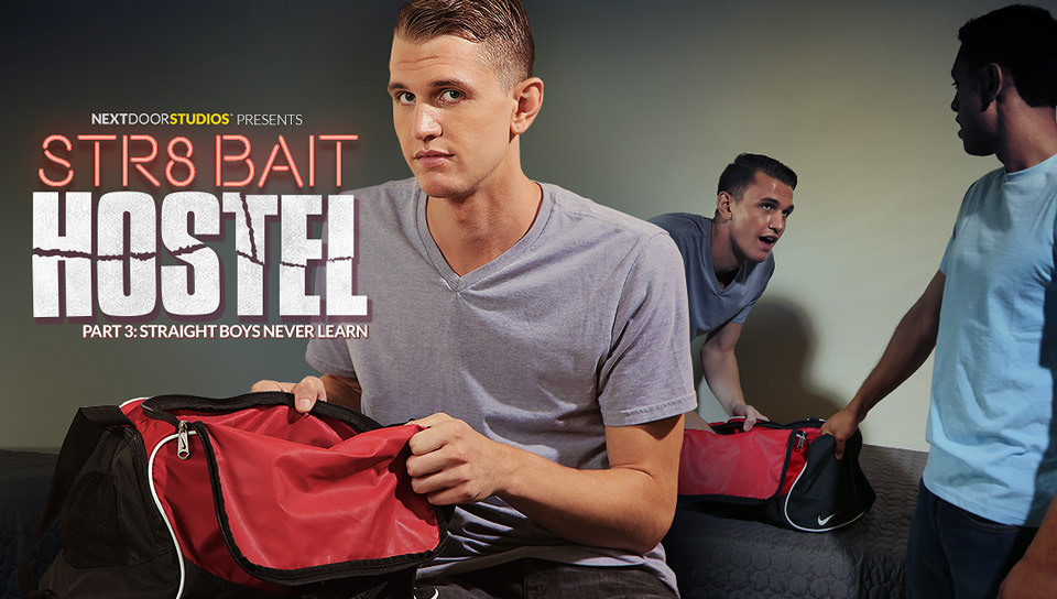 Str8 Bait Hostel: Straight Boys Never Learn