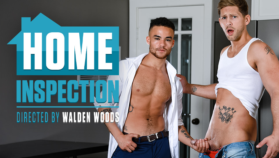 Home Inspection