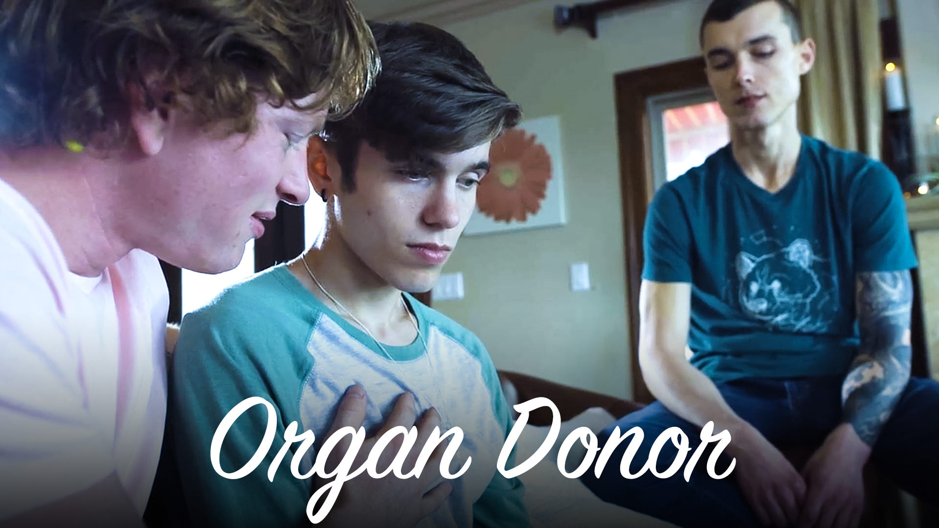 Organ Donor